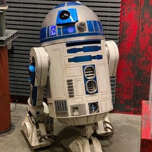 Meet your Posher, Donna